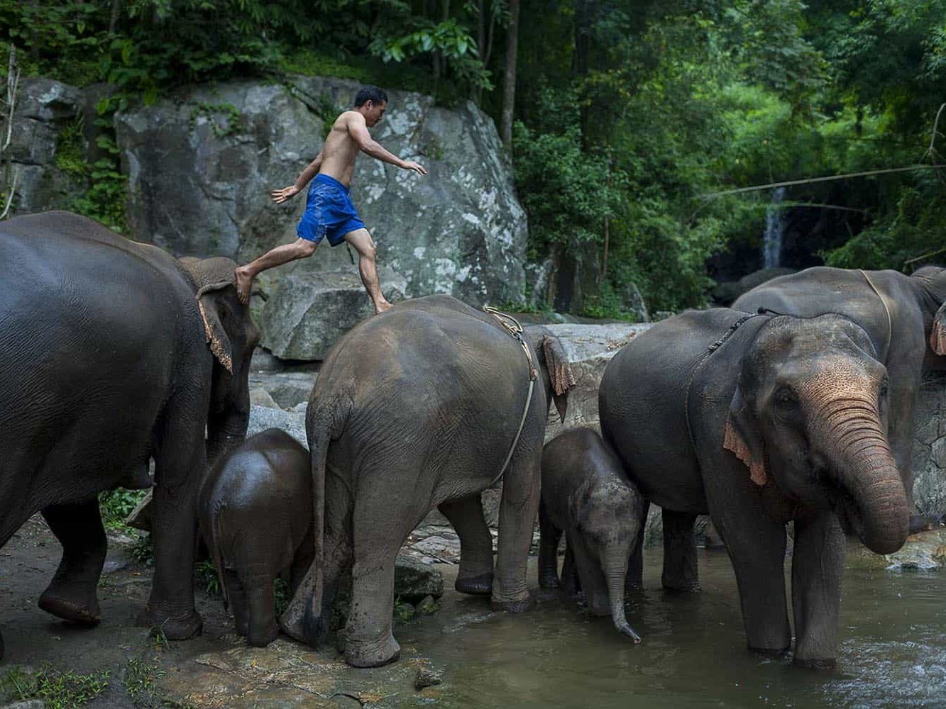 vietnam photographer mahout family binhdang 14