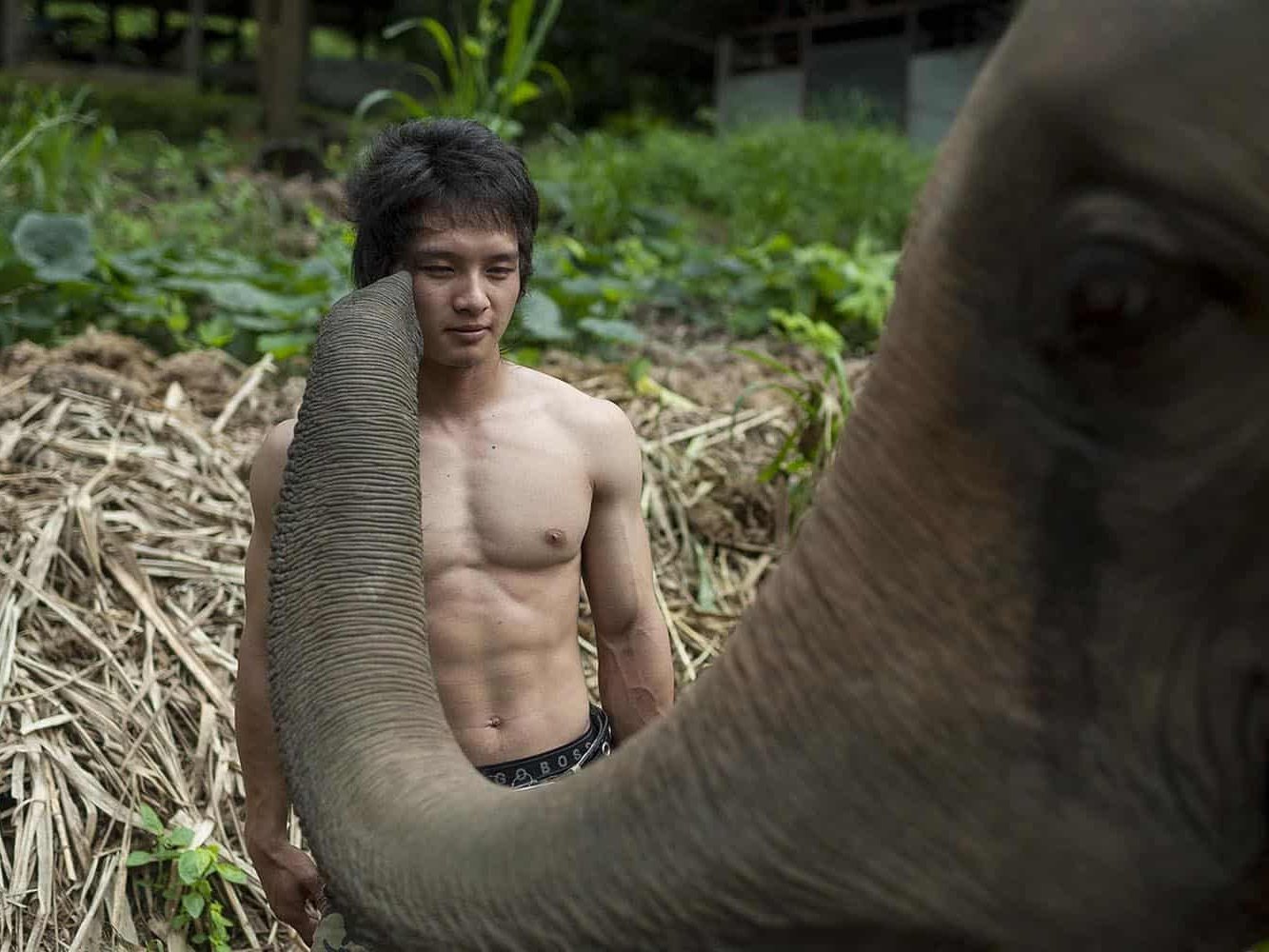 vietnam photographer mahout family binhdang 16