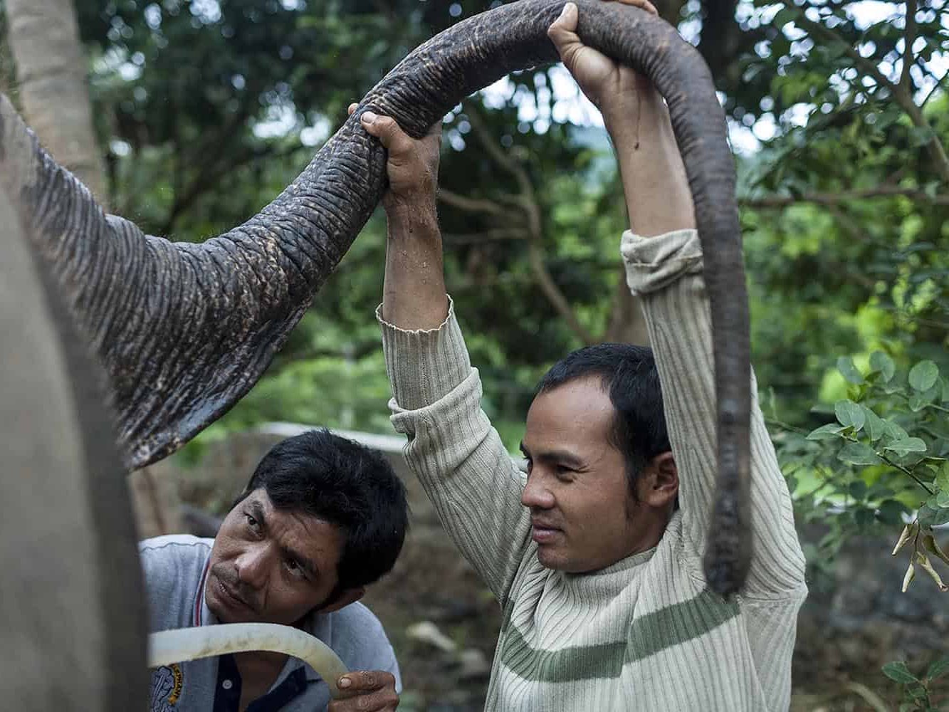 vietnam photographer mahout family binhdang 19