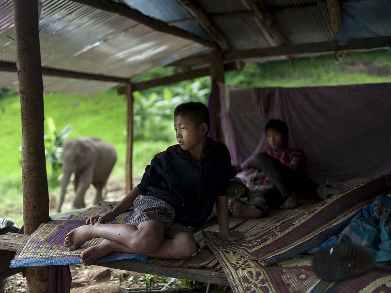 vietnam photographer mahout family binhdang 6