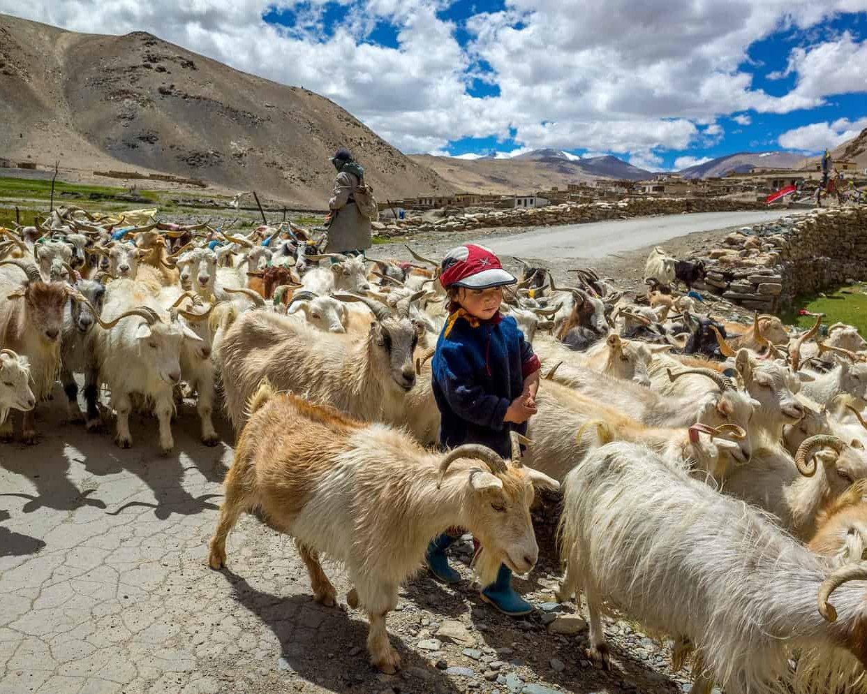 ladakh india binhdang travel photography21
