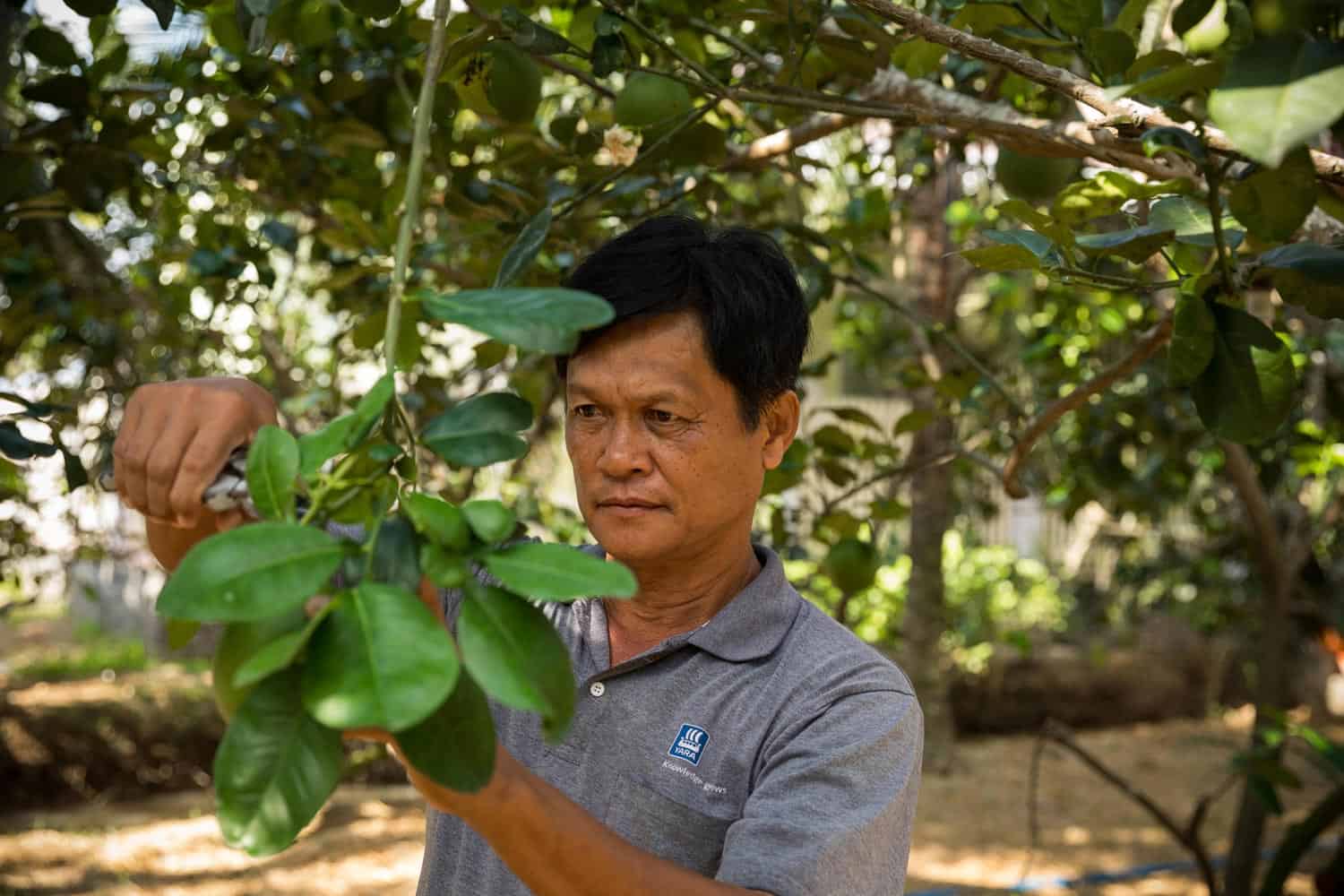 CABI Vietnam SE Asia Binh Dang Agriculture Documentary Photography Photographer Hanoi Danang HoChiminh Corporate Editorial Commerce 15