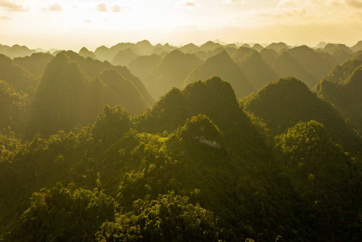 Vietnamese-based-photographer-binh-dang-giz-biodiversity-forest-ecosystem-photography-project-photo (14)