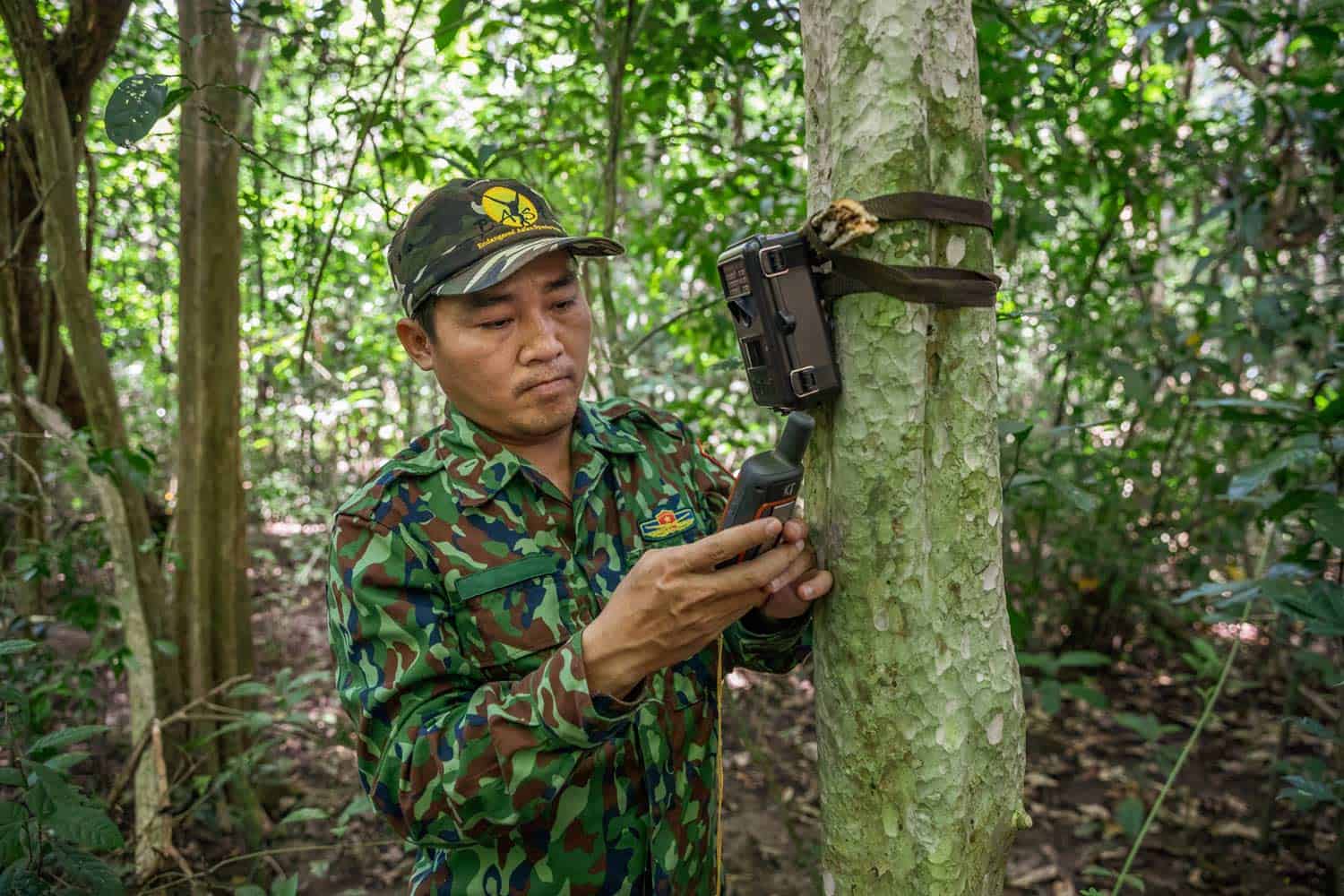 Vietnamese-based-photographer-binh-dang-giz-biodiversity-forest-ecosystem-photography-project-photo (2)